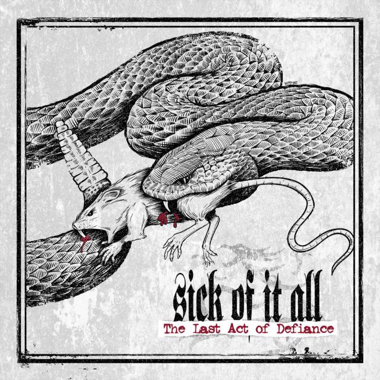 SICK OF IT ALL: mas de su nuevo trabajo en streaming