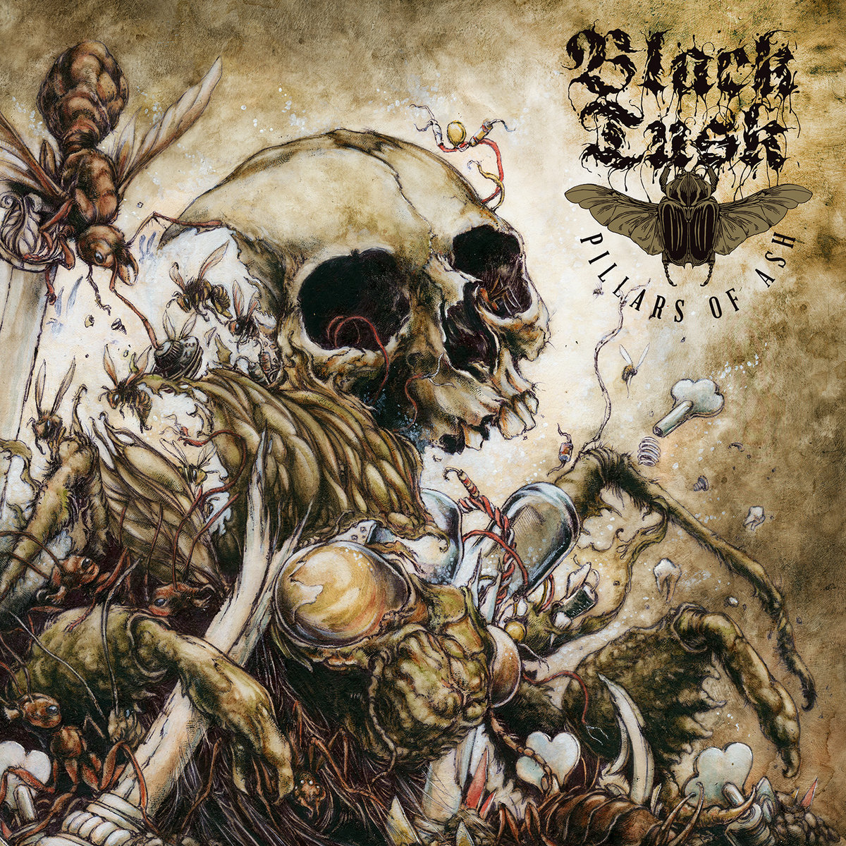BLACK TUSK: revelan todos los detalles de su nuevo disco