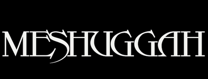 MESHUGGAH: confirma nuevo album para este año