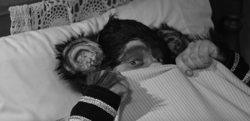 THE CLAYPOOL LENNON DELIRIUM (Les Claypool y Sean Lennon) estrenan video clip para “Bubbles Burst”
