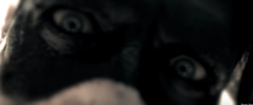 HELLYEAH estrenan video para “Love Falls”